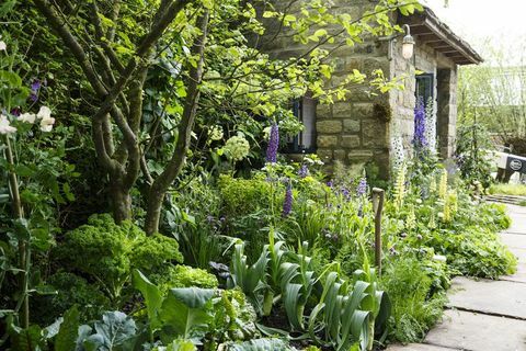 Willkommen im Garten der Yorkshire Chelsea Flower Show 2019 von Mark Gregory