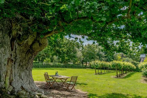 rosa grundstück mit einem weinberg in suffolk zu verkaufen