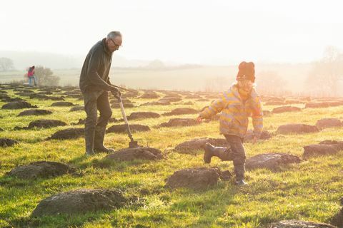 Der Woodland Trust verpflichtet sich, 50 Millionen Bäume zu pflanzen