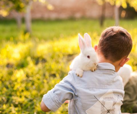 Junge, der sein Kaninchen im Park umfasst