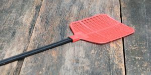 Rote Fliegenklatsche, einzelne Fliegenklatsche aus Kunststoff, die zuverlässig Fliegen auf Holzboden fängt