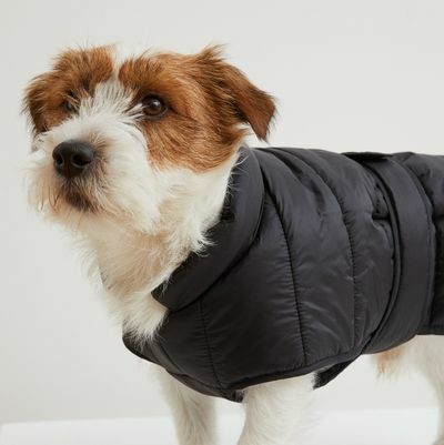 Gesteppte Hundejacke