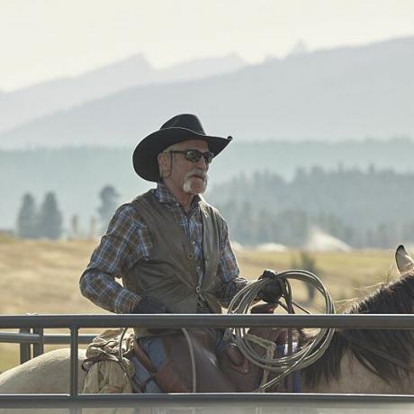 Lloyd auf Yellowstone