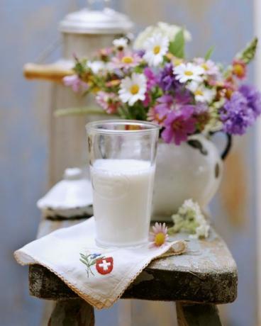 Milch und Blumen