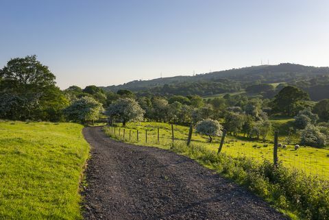 Feldweg in englischer Landschaft im Mai Sonnenschein