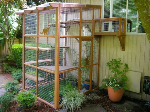 Catio mit Tunnel