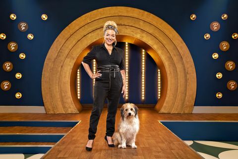 BBC One's Pooch Perfect alles, was Sie wissen müssen