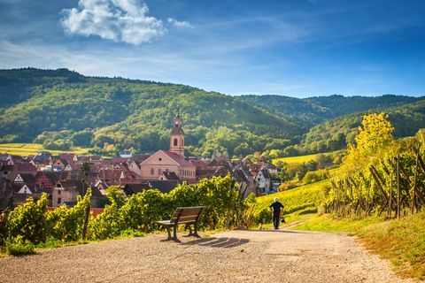 Französische Weinregionen