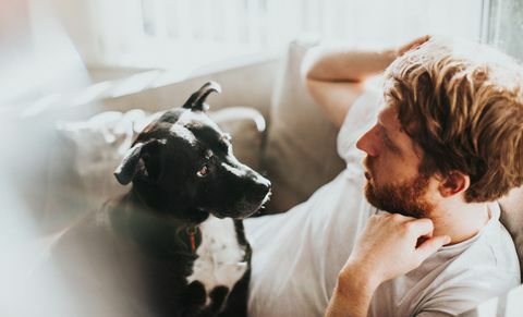 Mensch und Hund