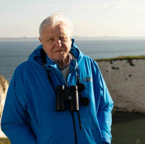 Wild Isles, 12.02.2023, Unsere kostbaren Inseln, 1, Sir David Attenborough, Sir David Attenborough stellt die Wild Isles-Serie im Morgengrauen bei Old Harrys Rocks, Dorset, Großbritannien 2022, Silverback Films, Chris Howard vor