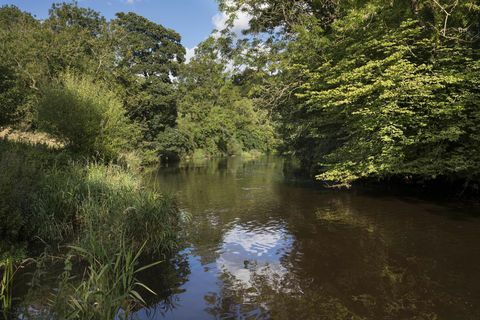 Illieston Castle - Broxburn - Schottland - Fluss - Treppe - Savills