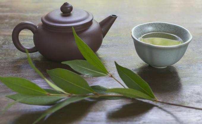 Stillleben mit keramischer Teekanne, Tasse grünem Tee und Zweig der Teepflanze