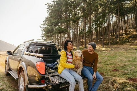 Paar sitzt mit Hund hinter dem Auto