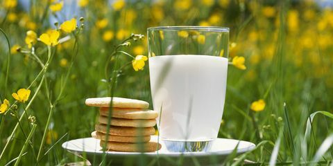 Milch im Feld