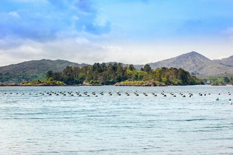 glengarriff schloss zum verkauf in irland