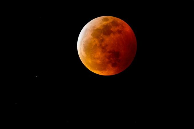 ein Blutmond oder Vollmond mit einem rötlichen Schatten aufgrund einer totalen Mondfinsternis am Nachthimmel