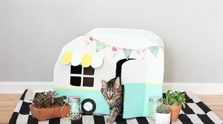 DIY Karton Katze Haus Kitty Camper