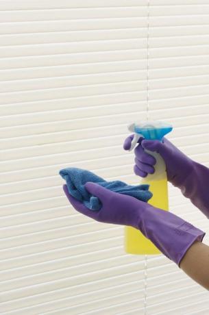 Paar Hände in lila Gummihandschuhen Reinigung Jalousien mit Spray und Tuch
