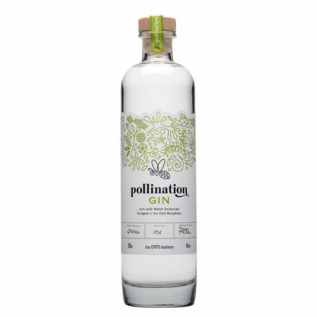 Getränk, Likör, Produkt, Flasche, destilliertes Getränk, alkoholisches Getränk, Wodka, Pflanze, 