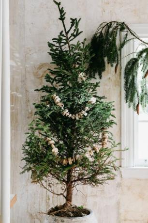 ein einfacher Weihnachtsbaum mit einer Girlande aus Holzrunden