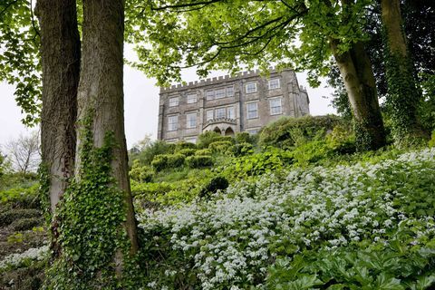 Newark Park und Bärlauch © National Trust Images Andrew Butler