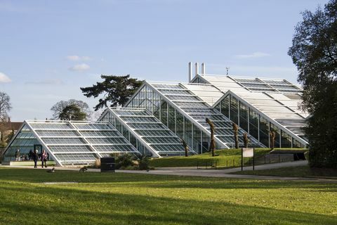 Das Princess of Wales-Konservatorium in Kew Gardens