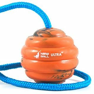 Nero Ball Ultra TM - Trainingsball für Hunde an einem Seil - Übungs- und Belohnungsspielzeug für Hunde