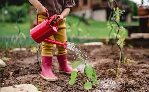 ein Mittelteil des Porträts des niedlichen kleinen Kindes im Freien Gartenarbeit