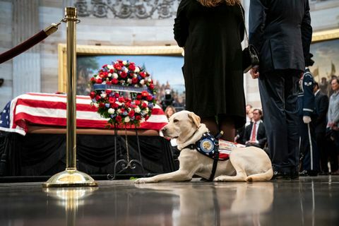 Präsident George H.W. Bush liegt im US-Bundesstaat Capitol