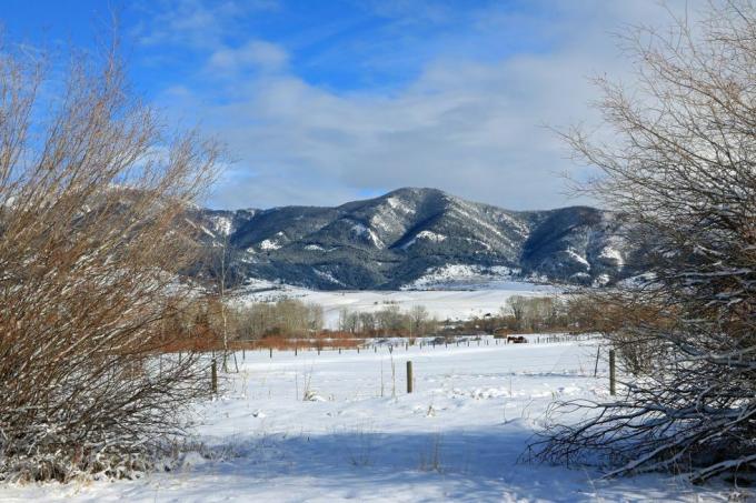 Winteransicht der Bridger Mountains von Bozeman Montana aus gesehen, Foto von Don und Melinda Crawforducguniversal Images Group über Getty Images