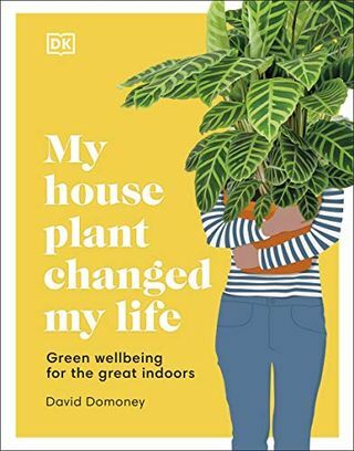 Meine Zimmerpflanze hat mein Leben verändert: Grünes Wohlbefinden für die großen Innenräume