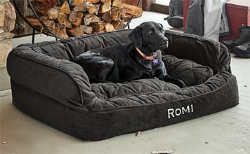 Orvis ComfortFill-Eco ™ Couch Hundebett