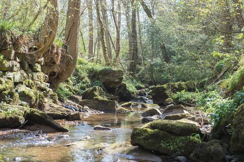 Häuschen in North Yorkshire zu verkaufen