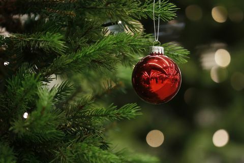 Eine Weihnachtskugel hängt an einem Baum