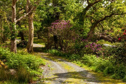 glengarriff schloss zum verkauf in irland