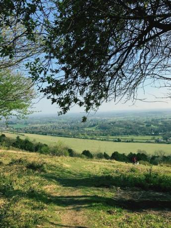 die Landschaft von Surrey