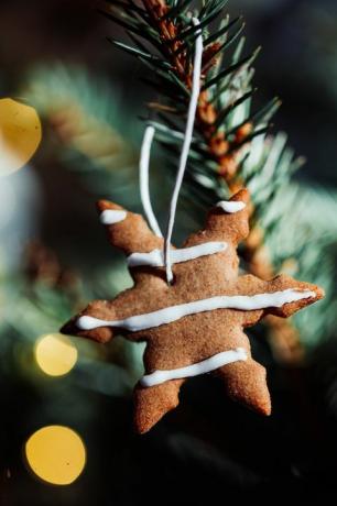 Plätzchen am Baum