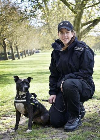 roxy der suchhund der polizei