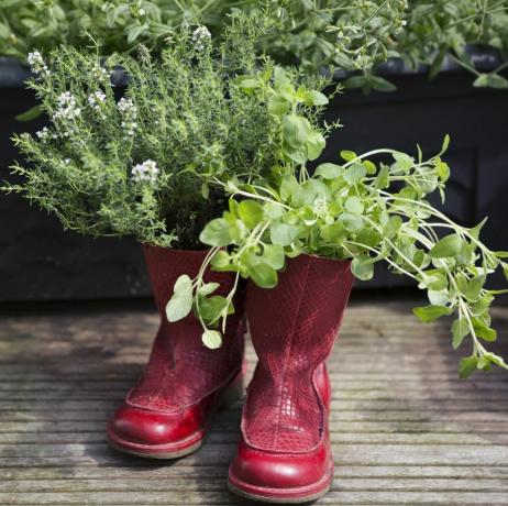 langsame Gartenarbeit, umfunktionierte alte rote Stiefel