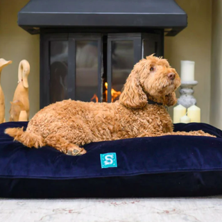 Cord Hundebett - Navy