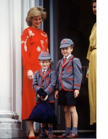 Prinz Harry, Prinz William in der Schule