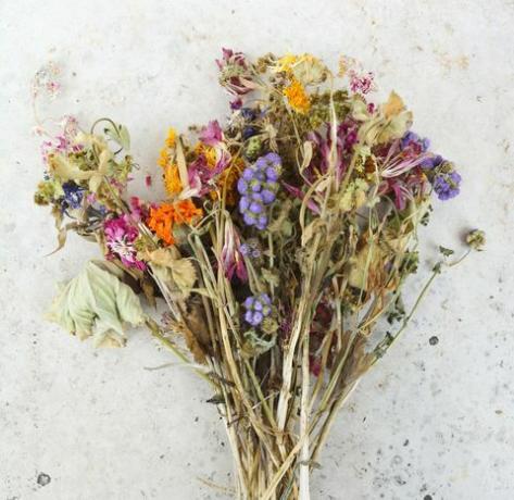 deutschland, bayern, ein strauß verwelkter feldblumen und rosa rosen auf einer grauen platte