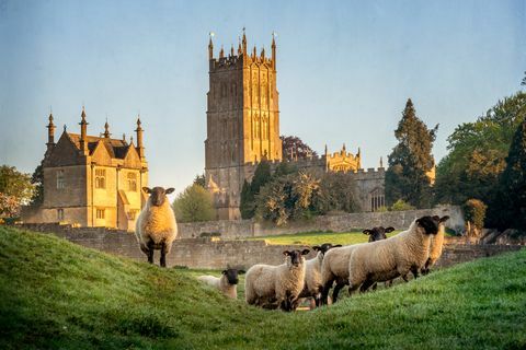 Die besten Spaziergänge in Cotswolds