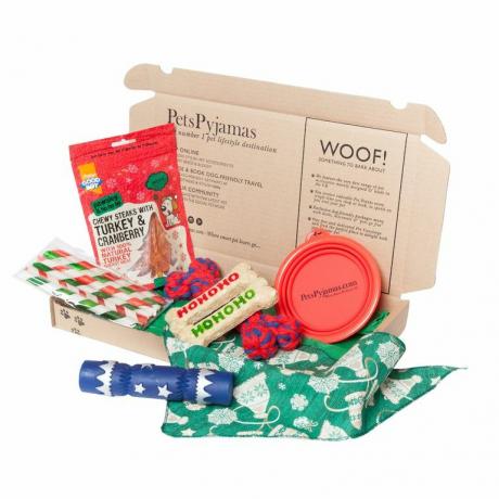 CHRISTMAS DOG TREAT BOX 25 € HaustierePyjamas