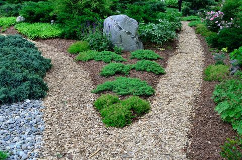 Gartenweg mit Laubdecke