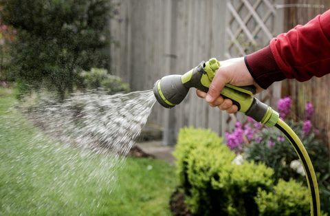 Pflanzen im Garten gießen