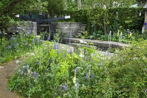 Willkommen im Garten der Yorkshire Chelsea Flower Show 2019 von Mark Gregory