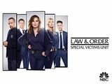 Law & Order: SVU Staffel 20