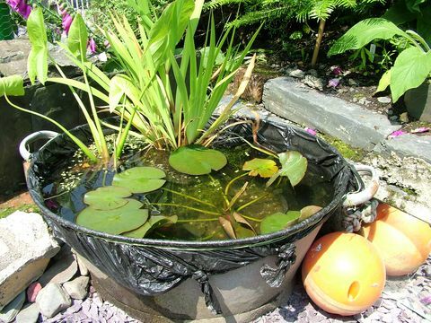 Erstellen Sie Ihren eigenen Gartenteich