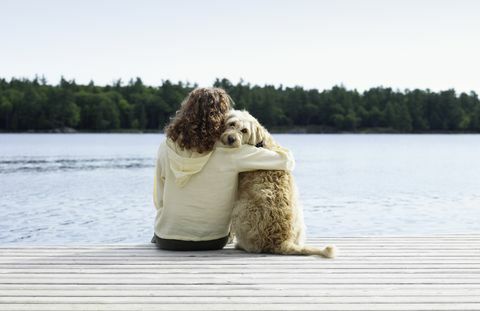 Frau, die mit Hund auf Anlegestelle, hintere Ansicht sitzt